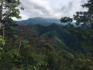 山頂から見た瀧山：千歳山で巨大キノコを見つける
