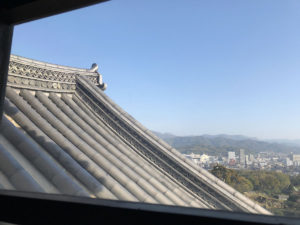 瓦が美しい：彦根城で「ひこにゃん」と会う