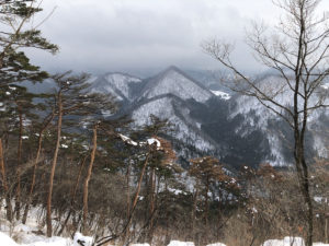 瀧山は見えず：2019年1月5日の千歳山