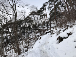 雪はやや少なめ：2019年1月5日の千歳山